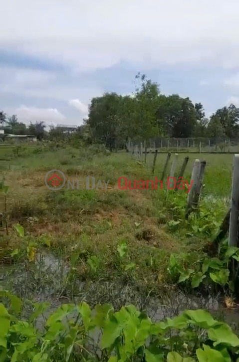 Beautiful land - good price, owner needs to quickly sell land plot located in Go Dau district, Tay Ninh province _0