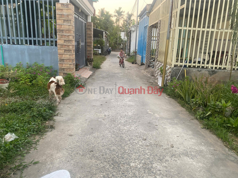 Land owned by the owner - Good price - My Thanh An Commune, Ben Tre City, Ben Tre Province, Vietnam Sales đ 700 Million
