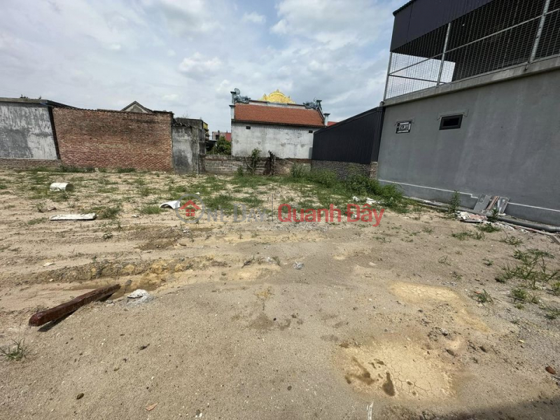 The owner needs to sell quickly Land plot in Hoang Lau - An Duong - Hai Phong. Vietnam Sales | đ 4.9 Billion
