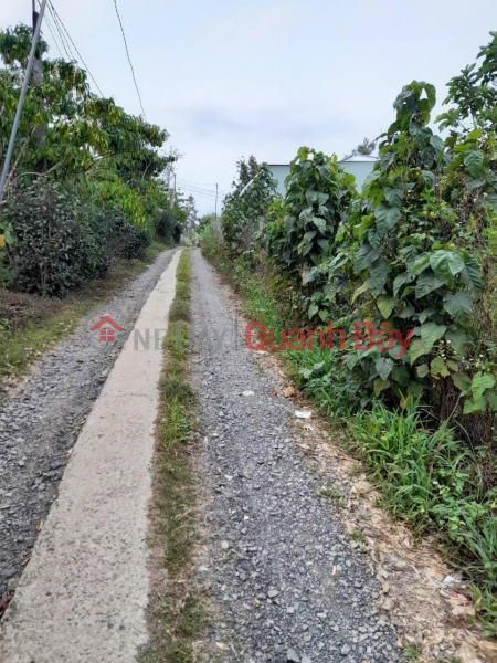 đ 1.7 Billion, BEAUTIFUL LAND - GOOD PRICE - Land Lot For Sale Prime Location In Bao Lam District, Lam Dong