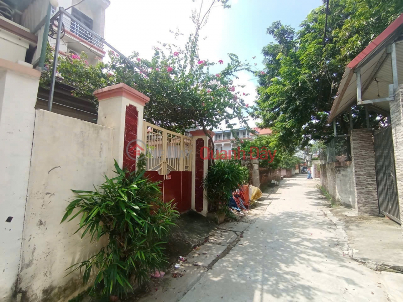 Bán đất Thuận Thành, Bắc Ninh. 98m2 * mt 5,8m * 2,6 tỷ. ô tô vào đất, sát phố Việt Nam, Bán, đ 2,6 tỷ