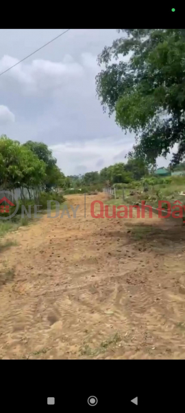 BEAUTIFUL LAND - GOOD PRICE - OWNER NEEDS TO SELL URGENCY LOT OF LAND BEAUTIFUL LOCATION IN Nghi An, Vinh City, Nghe An | Vietnam Sales, đ 1.56 Billion