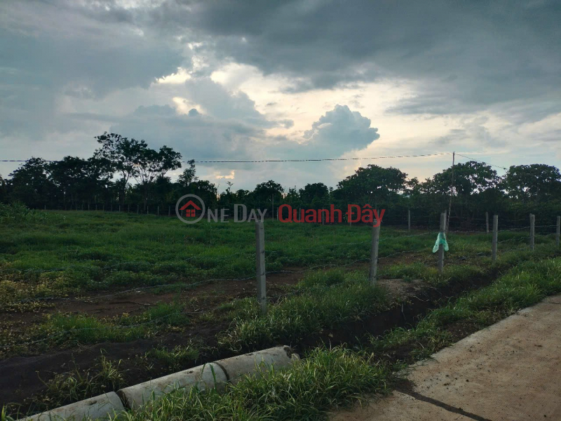 Property Search Vietnam | OneDay | Residential, Sales Listings | BEAUTIFUL LAND - INVESTMENT PRICE - OWNER URGENTLY NEEDS TO SELL LAND LOT in Ea Mdróh Commune, Cu M'gar District - Dak Lak Province