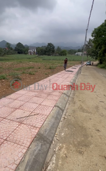 đ 210 Million | Beautiful Land - Good Price - Owner Needs to Sell Land Lot in Beautiful Location in Thach Quang Thach Thanh Commune - Thanh Hoa.