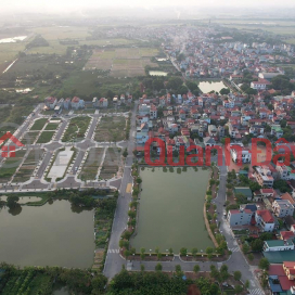 Selling 44 plots of land at auction X6 Ha Lo Lien Ha Dong Anh on November 11, 2023 _0