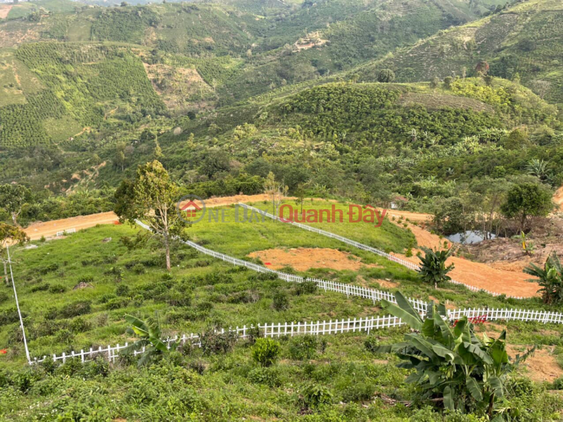 The land is comfortable with beautiful mountain view, only 8km from the center of Bao Loc city | Vietnam | Sales ₫ 1.7 Billion