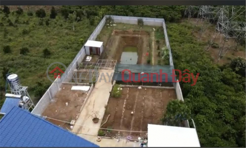 BEAUTIFUL LAND - GOOD PRICE - Land Lot For Sale Prime Location In Loc Chau Commune, Bao Loc City, Lam Dong _0