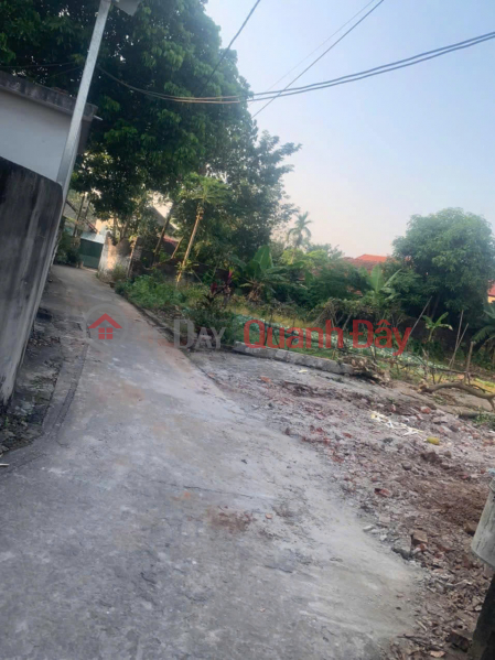 Property Search Vietnam | OneDay | Nhà ở Niêm yết bán | Chính chủ cần bán mảnh 116m2 lô góc Địch Thượng, Phương Đình, Đan Phượng