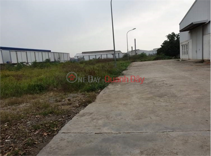Property Search Vietnam | OneDay | Nhà ở Niêm yết bán | Cần chuyển nhượng 3ha đất TMDV tại mặt đường gia lâm, Huyện Gia Lâm, PT Hà Nội