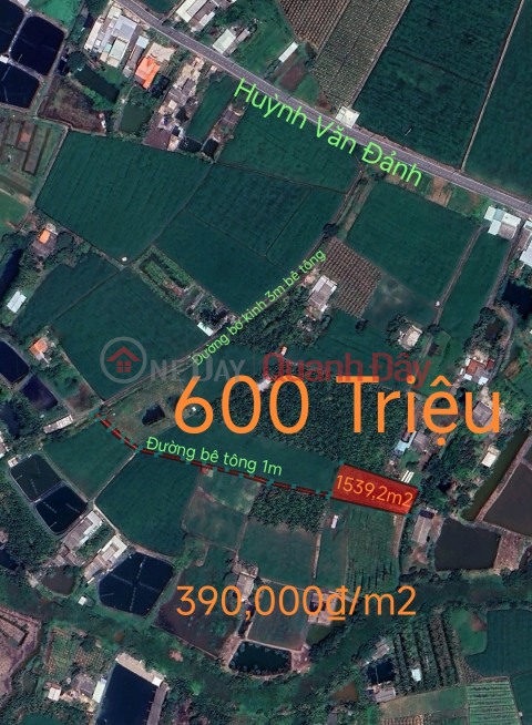 Bán gấp lô đất lúa rẻ nhất khu vực gần Quốc Lộ 50B giá 600 triệu _0