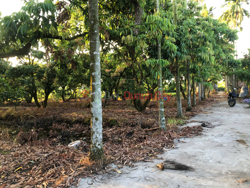 Property Search Vietnam | OneDay | Residential | Sales Listings OWNER SELLS LAND IN FARM AREA, GARDEN AND FISH POND.