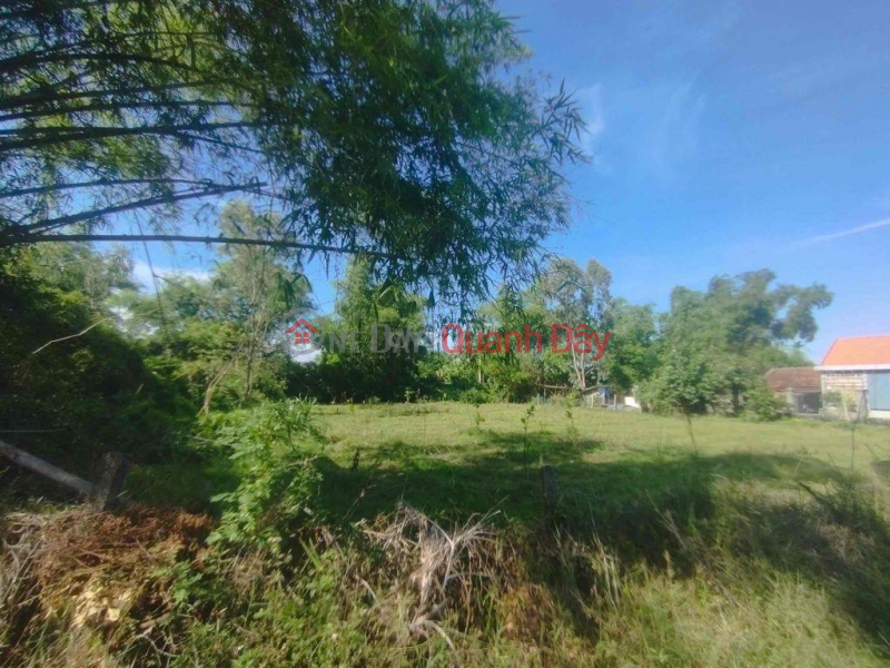 Beautiful Land - Good Price - Owner Sells Land Plot Quickly at Tu Ngoc, Binh Tu, Thang Binh District, Quang Nam Sales Listings