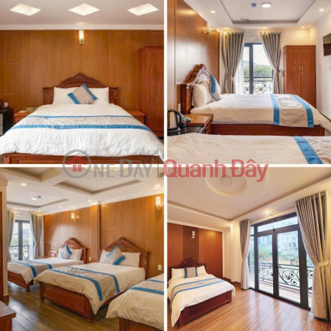 CHO THUÊ VILLA SÂN VƯỜN NGÔ TẤT TỐ P8 ĐÀ LẠT _0