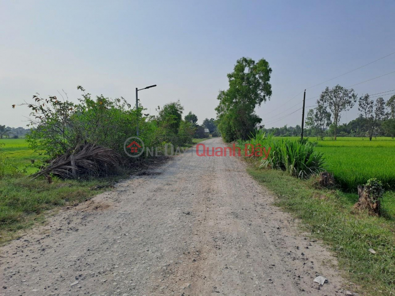 Land by Owner - Good Price - Urgent Sale in Go Sao Hamlet, Tan Phu Commune, Duc Hoa - Long An Vietnam, Sales ₫ 950 Million