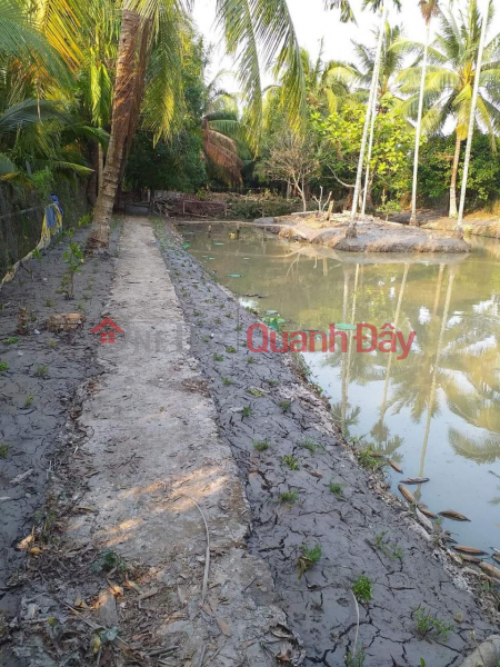 Need to quickly rent a plot of land at 529, Chi Sinh Street, Tan Phu Ward, Cai Rang District, Can Tho | Vietnam, Rental đ 6 Million/ month