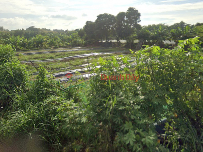 Property Search Vietnam | OneDay | Nhà ở, Niêm yết bán | Đất Mặt tiền SHR HXH 1194m2 – Đông Thạnh 2-5 Hóc Môn