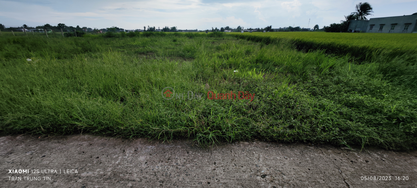 Selling a plot of land in Tan Tru without planning, priced at 2.2 billion, Vietnam Sales | đ 2.2 Billion