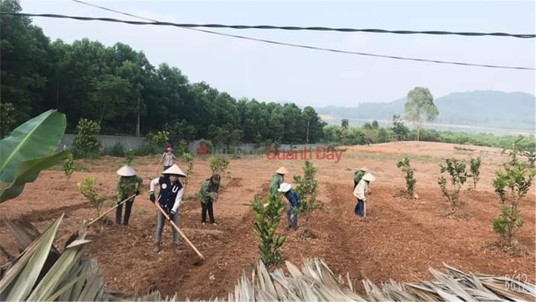 Property Search Vietnam | OneDay | Residential Sales Listings | THE OWNERS NEED TO GET OUT Plot Land - Investment Price At Cua Ong Dam - Nam Nghia - Nam Dan - Nghe An