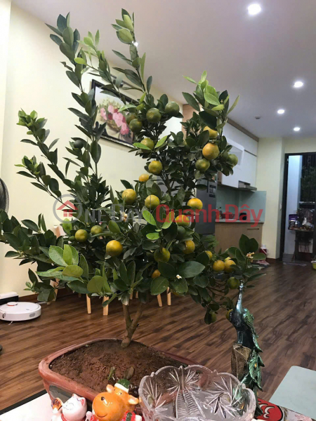 Owner rents out apartment in building 87 Linh Nam Newhorizon, 74m2 x 2 bedrooms, 12 million | Vietnam, Rental, đ 12 Million/ month