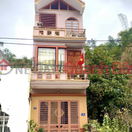 Owner needs to sell 3-storey house on Ngo Quyen - Hop Thanh Street. _0