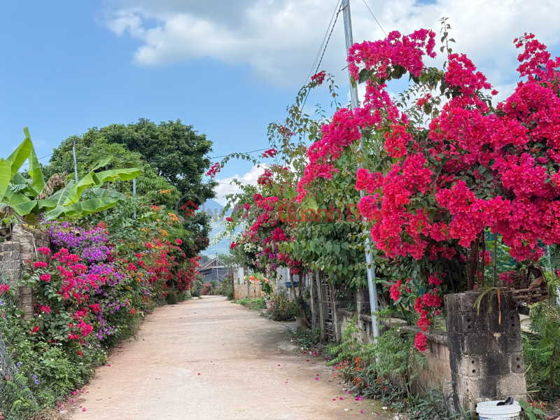 Opportunity to own a cheap Thai roof house in Moc Chau, newly built house, near Moc Chau tourist center. Vietnam | Sales | đ 2.6 Billion