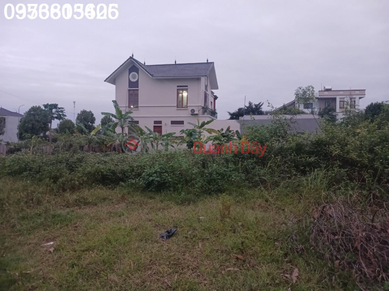 Property Search Vietnam | OneDay | Residential Sales Listings, (EXTREMELY RARE) The only plot of land with 300m ODT, 15m frontage, located on busy business street 261, 800m from National Highway 3.