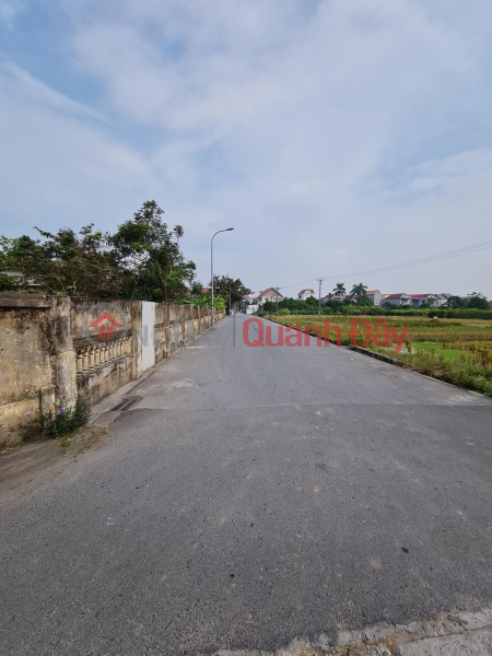 62m2 of beautiful land in Nguyen Khe, Dong Anh, full of sparkling new sunshine | Vietnam Sales ₫ 34 Million