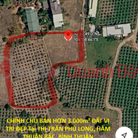 CHÍNH CHỦ BÁN HƠN 3.000m² ĐẤT VỊ TRÍ ĐẸP Tại THỊ TRẤN PHÚ LONG, HÀM THUẬN BẮC, BÌNH THUẬN _0
