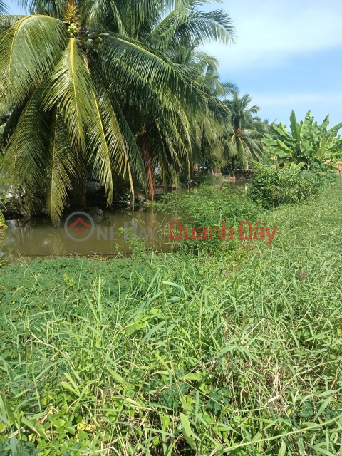 OWNER NEEDS TO SELL LOT OF LAND Beautiful Location In Cho Gao District, Tien Giang - Cheap Price _0