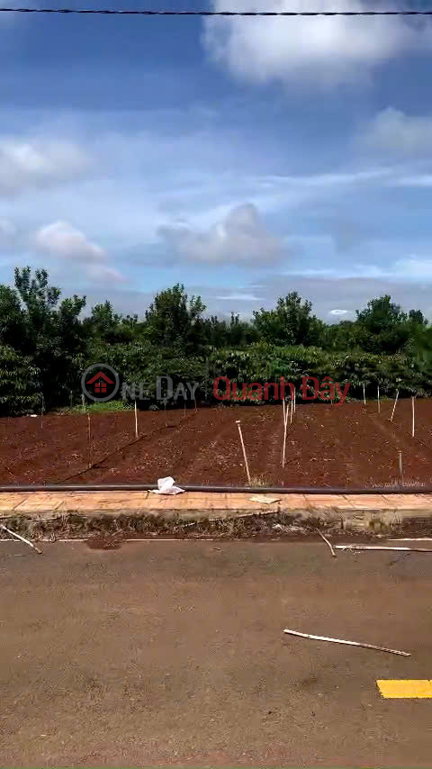 Bán nhanh 3 nền thổ cư hiệp thạnh liên nghĩa Đức Trọng - giá chưa chạm 1 tỷ _0