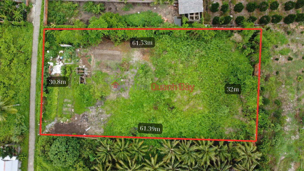 Property Search Vietnam | OneDay | Residential, Sales Listings URGENTLY FOR SALE 1953.3m² Land, 100% Residential Land Frontage Provincial Road 902, An Phuoc Commune, Mang Thit District, Vinh Long