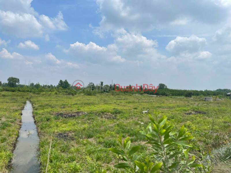 Property Search Vietnam | OneDay | , Sales Listings, Urgent sale of land in front of DT 821 street, Loc Giang commune, Duc Hoa district, Long An province.