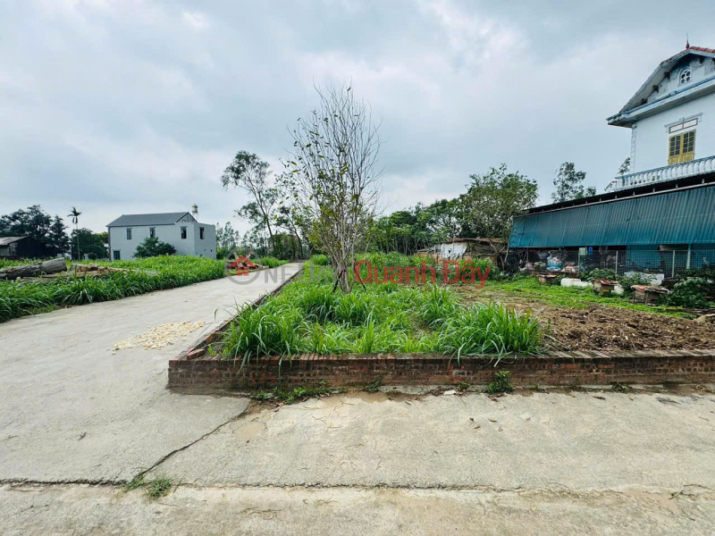 Property Search Vietnam | OneDay | Residential Sales Listings, BEAUTIFUL LAND LOT FOR SALE AT GOOD PRICE IN THAI LAI VILLAGE, MINH TRI, SOC SON, HANOI