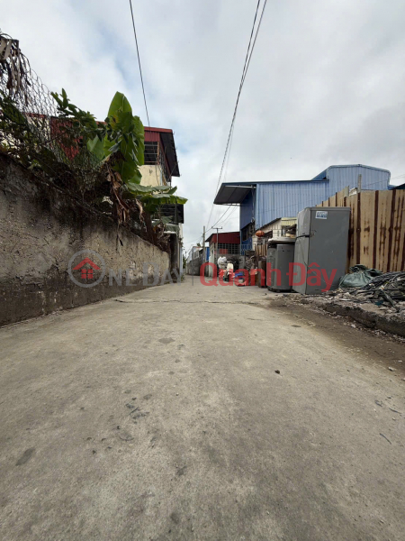 Chính chủ gửi bán lô đất Phù Liễn, Hải Phòng - Ô tô vào tận đất cách mặt đường chỉ 30m Niêm yết bán