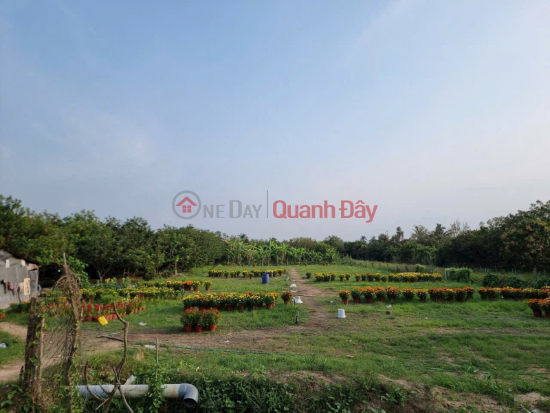 Property Search Vietnam | OneDay | Residential | Sales Listings | BEAUTIFUL LAND - GOOD PRICE - OWNER SELLS ON Highway 57, Binh Hoa Phuoc Commune, Long Ho, Vinh Long