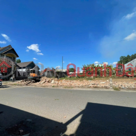 Land - RIGHT NEXT TO TRANG BOM TOWN - Paved road suitable for business, passing through Doi 61 commune, near Le Duan road. _0