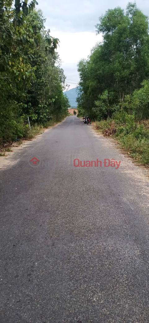 BEAUTIFUL LAND - GOOD PRICE Prime Location In Dien Binh Commune, Dien Khanh, Khanh Hoa _0