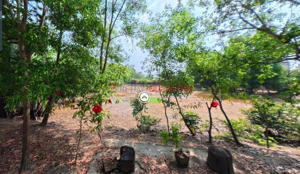 đ 5.2 Billion, Land with river view - Right next to Binh Khanh bridge.