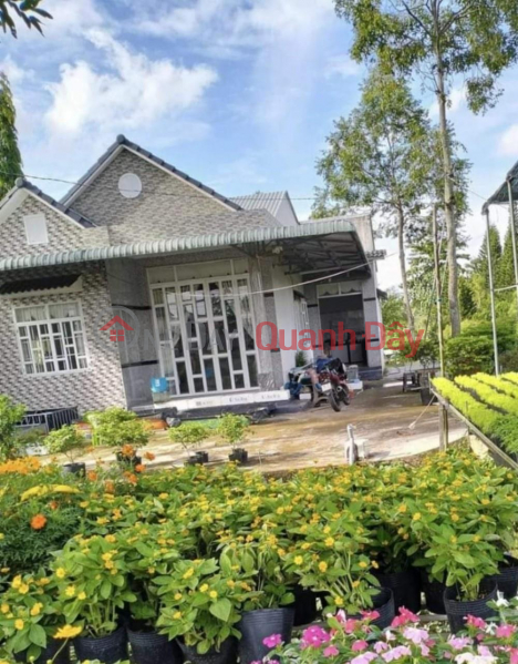 đ 3.6 Billion, Real estate for sale right in the tourist flower village of Sa Dec city, Dong Thap, nearly 700m2