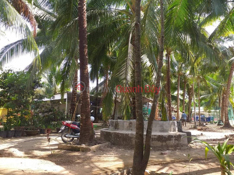 Need to quickly rent a plot of land at 529, Chi Sinh Street, Tan Phu Ward, Cai Rang District, Can Tho Rental Listings