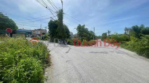 (OWNER) My family needs to sell a plot of land with a frontage in Van Lam Hamlet, Road 21A, Liem Tiet Commune, Phu Ly City, Ha Nam Province. _0