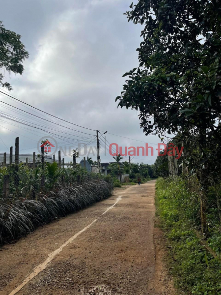 Property Search Vietnam | OneDay | Residential | Sales Listings BEAUTIFUL LAND - GOOD PRICE - Quick Sale Land Lot In Dat Hieu Ward, Buon Ho Town, Dak Lak