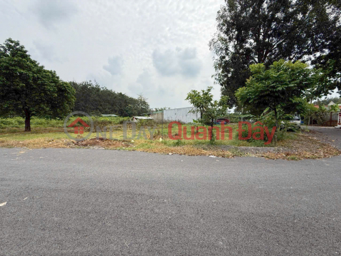 Residential land for sale, corner, 2 frontages, asphalt road No. 723, 10m wide _0