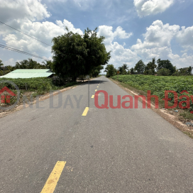 BEAUTIFUL LAND OWNER DT785B Tan Hoi street, Tan Chau, Tay Ninh - 2km from Tan Hoi Industrial Park _0