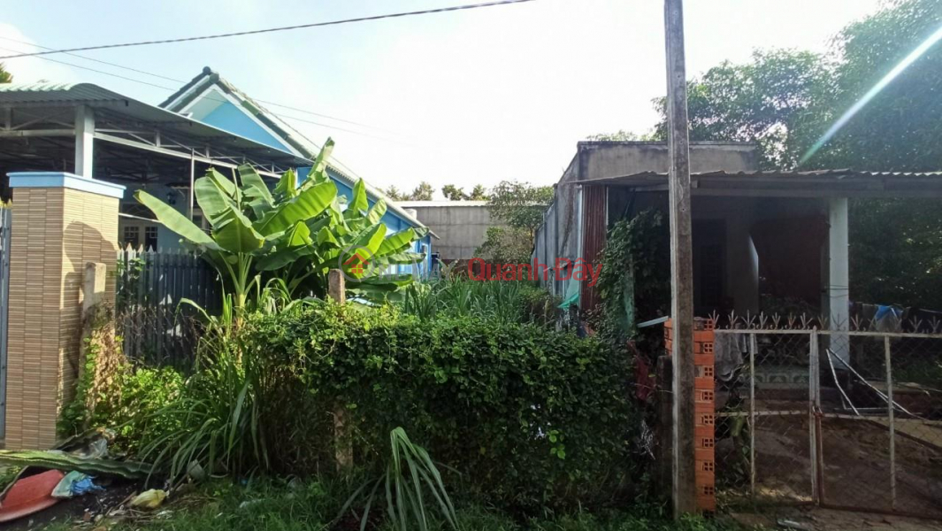 đ 350 Million, Owner Needs To Quickly Sell Land In Thai Binh Commune, Chau Thanh District, Tay Ninh