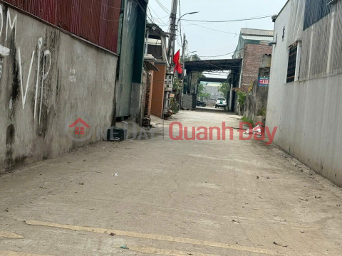 Bán 84m đất đấu giá Bến Trung, Bắc Hồng - Cạnh đường QH 40m _0