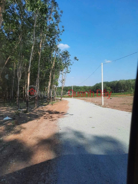 HUGE AREA TO BUILD FACTORY OR RENTAL HOUSE 7,370M2 MINH HUNG INDUSTRIAL PARK SIKICO BINH PHUOC _0