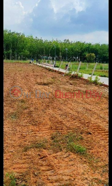 Extremely HOT : Super Beautiful Land Roc B, Thanh Duc, Go Dau, Tay Ninh Cheap Only 8xx Background | Vietnam Sales, đ 900 Million