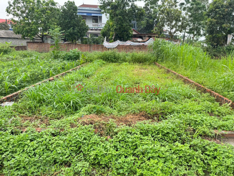 Đất đẹp thôn Ấp Tre, xã Quang Minh, Mê Linh. Ba bước chân tới cổng trường Y Dược Tuệ Tĩnh, Việt Nam Bán | đ 5 tỷ