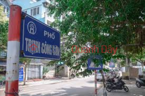 Bán 272m2 đất phố Trịnh Công Sơn ngõ ôtô vào, Tây Hồ giá 45,9 tỷ _0